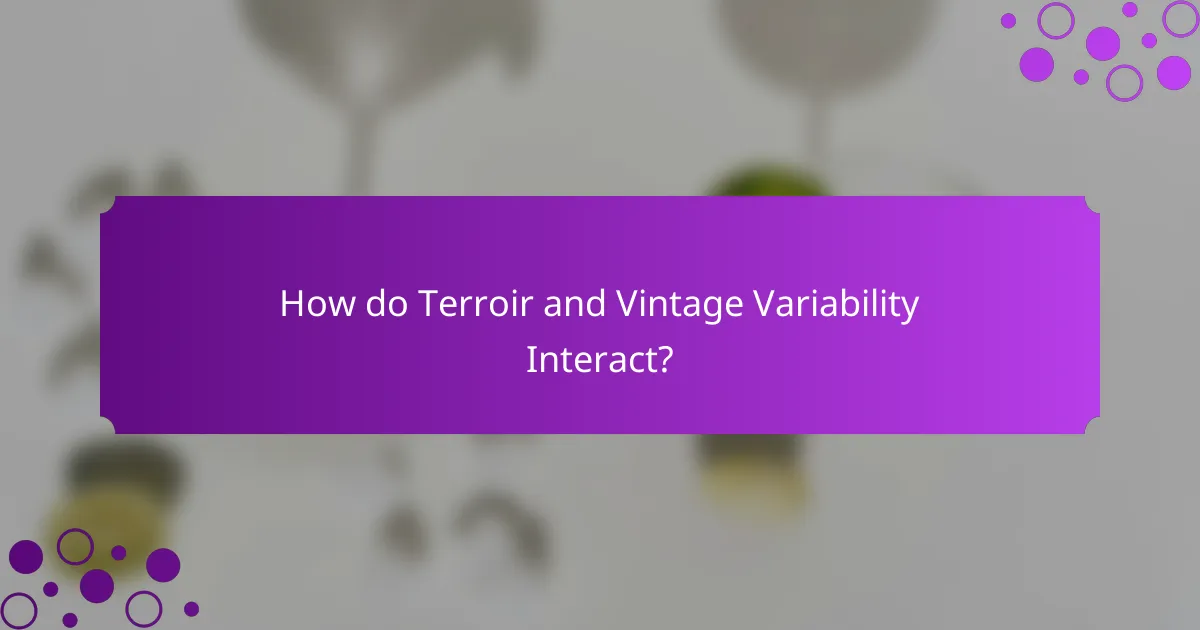 How do Terroir and Vintage Variability Interact?