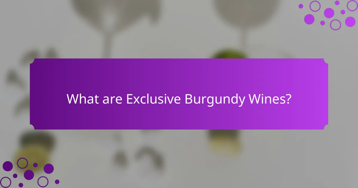 What are Exclusive Burgundy Wines?