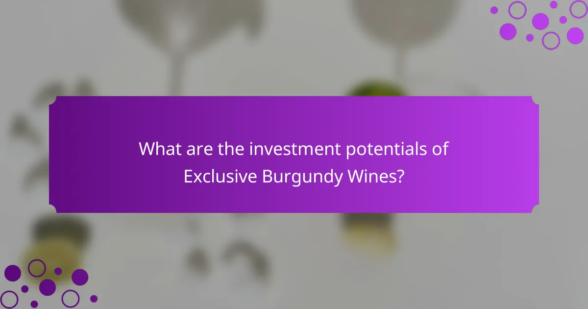 What are the investment potentials of Exclusive Burgundy Wines?