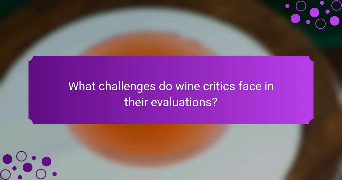 What challenges do wine critics face in their evaluations?